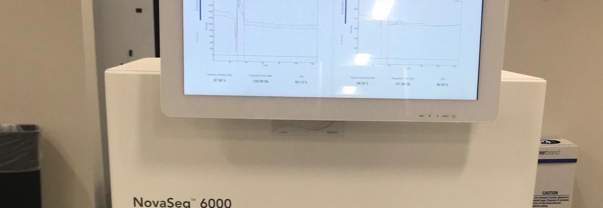 NovaSeq 6000 (Illumina)